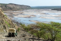 safari avec MDH