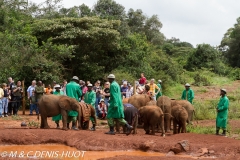 orphelinat des éléphants / elephant orphanage