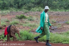 orphelinat des éléphants / elephant orphanage