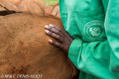 orphelinat des éléphants / elephant orphanage