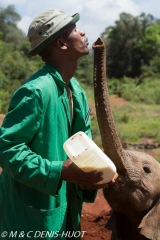 orphelinat des éléphants / elephant orphanage