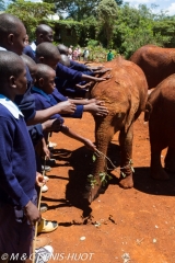 orphelinat des éléphants / elephant orphanage