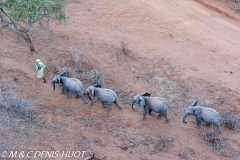 orphelinat des éléphants / elephant orphanage