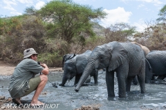 orphelinat des éléphants / elephant orphanage