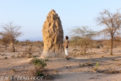 termitière / termite hill