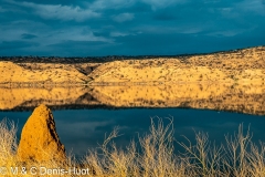 termitière / termite hill