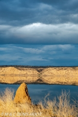 termitière / termite hill