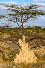 Shaba game reserve