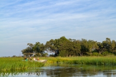 Okavango
