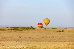 safari en ballon / balloon flight