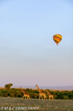 safari en ballon / balloon flight