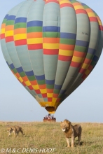 safari en ballon / balloon flight