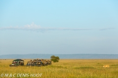 safari / Kenya