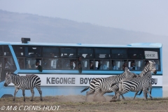 parc national du lac Nakuru / Nakuru national park