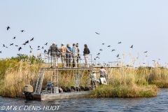 Okavango