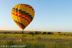 safari en ballon / balloon flight