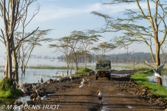 lac Nakuru / lake Nakuru