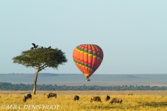 safari en ballon / balloon flight