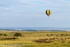 safari en ballon / balloon flight