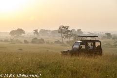 safari / Kenya