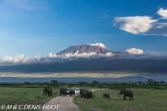 safari / Kenya