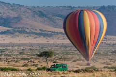 safari en ballon / balloon flight