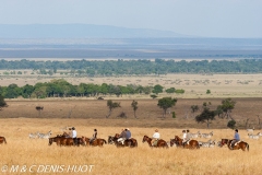 safari / Kenya