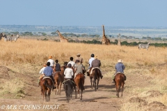 safari / Kenya