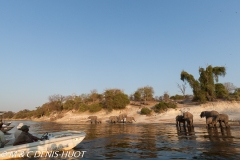 safari / Botswana