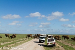 safari / Kenya