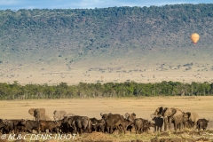 safari en ballon / balloon flight