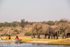 safari / Botswana