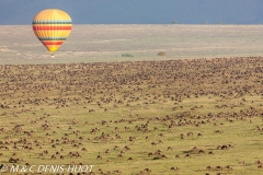 safari en ballon / balloon flight