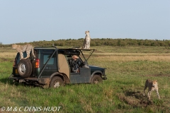 réserve de Masai-Mara / Masai-Mara game reserve