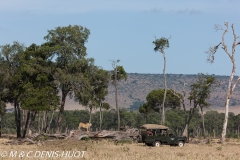 safari / Kenya