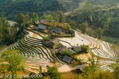 Viêt Nam
