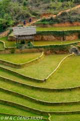 Viêt Nam