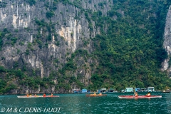 Viêt Nam
